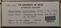 Image Associated With the Occurence